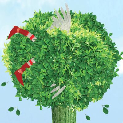 Freddy and the Fairy